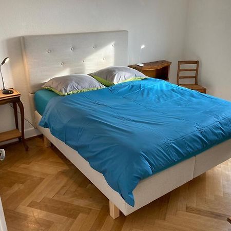 Joli 2 Pieces Dernier Etage, Lausanne Centre Bagian luar foto
