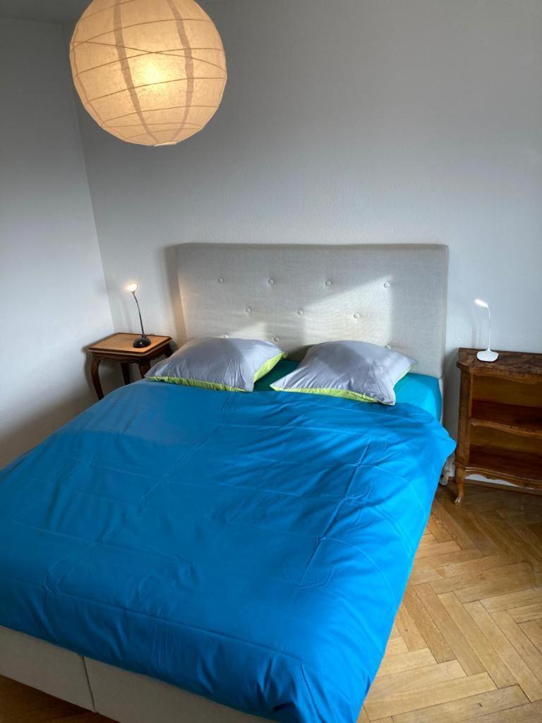 Joli 2 Pieces Dernier Etage, Lausanne Centre Bagian luar foto