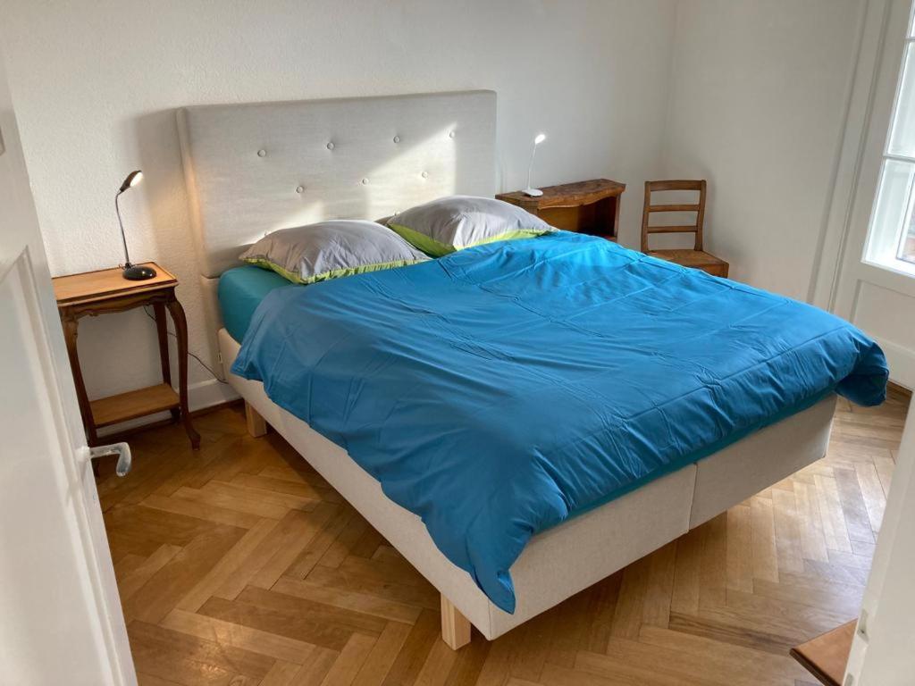 Joli 2 Pieces Dernier Etage, Lausanne Centre Bagian luar foto