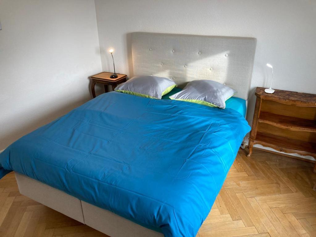 Joli 2 Pieces Dernier Etage, Lausanne Centre Bagian luar foto